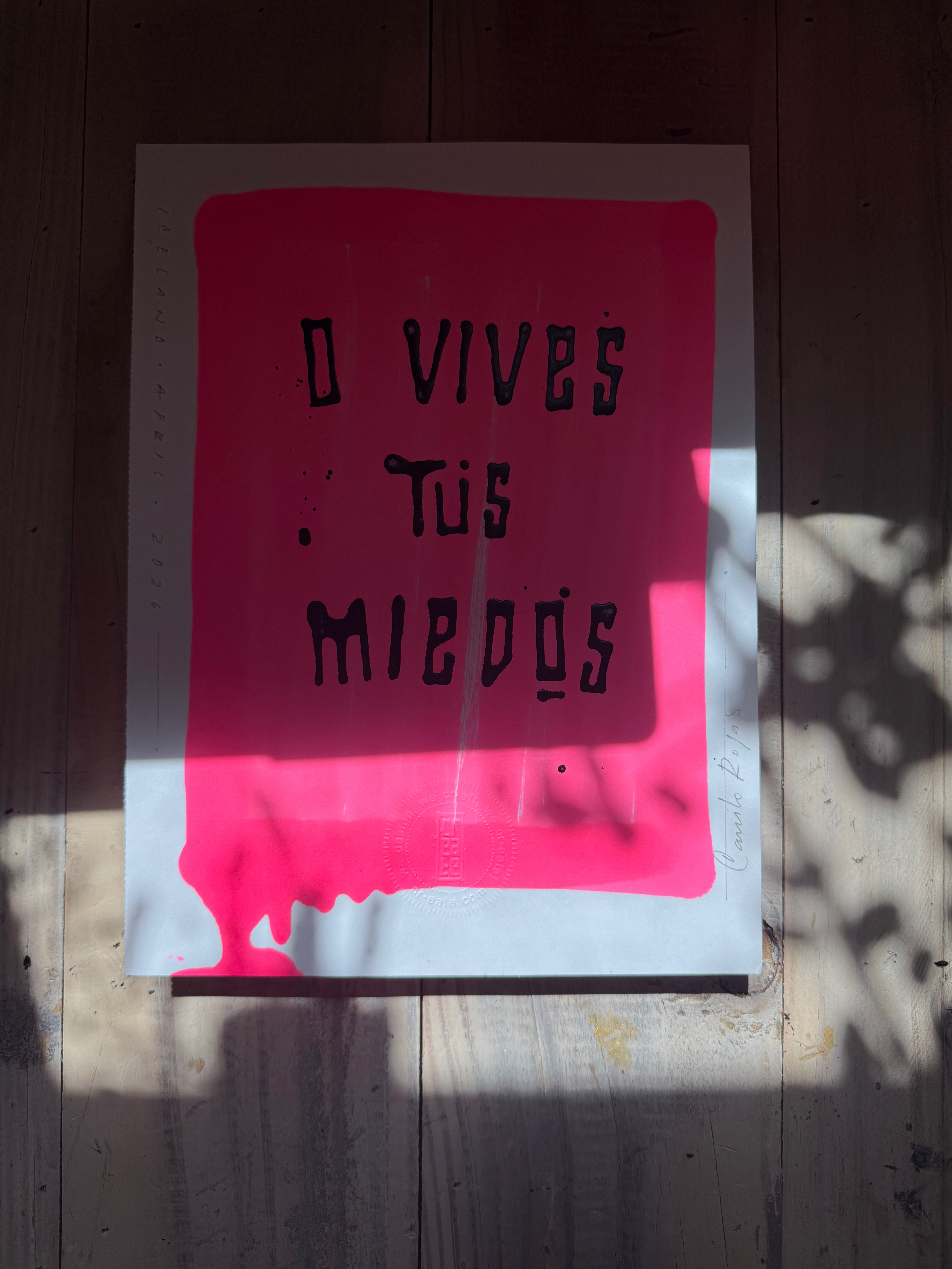 o vives tus miedos o vives tus sueños