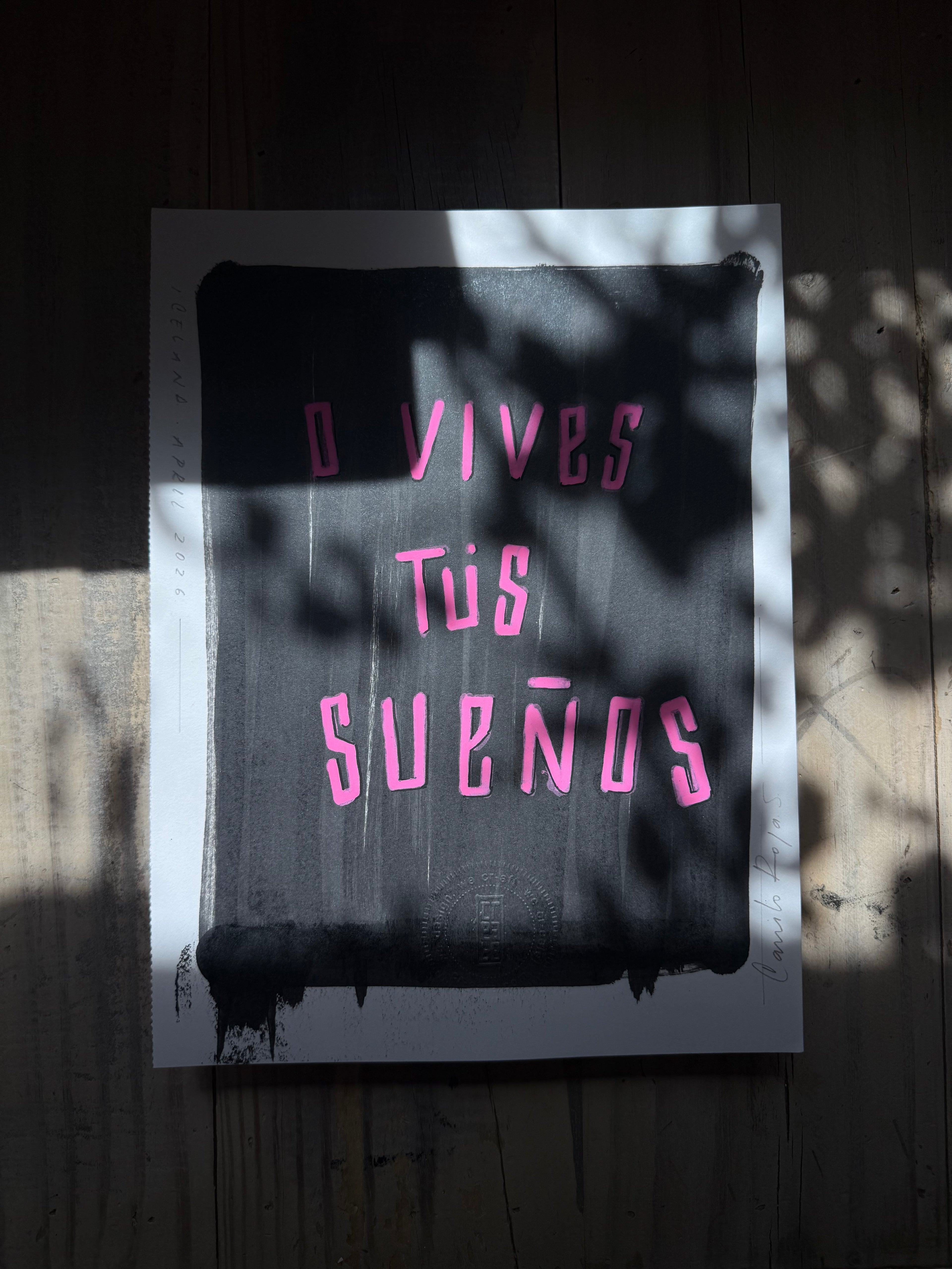 o vives tus miedos o vives tus sueños