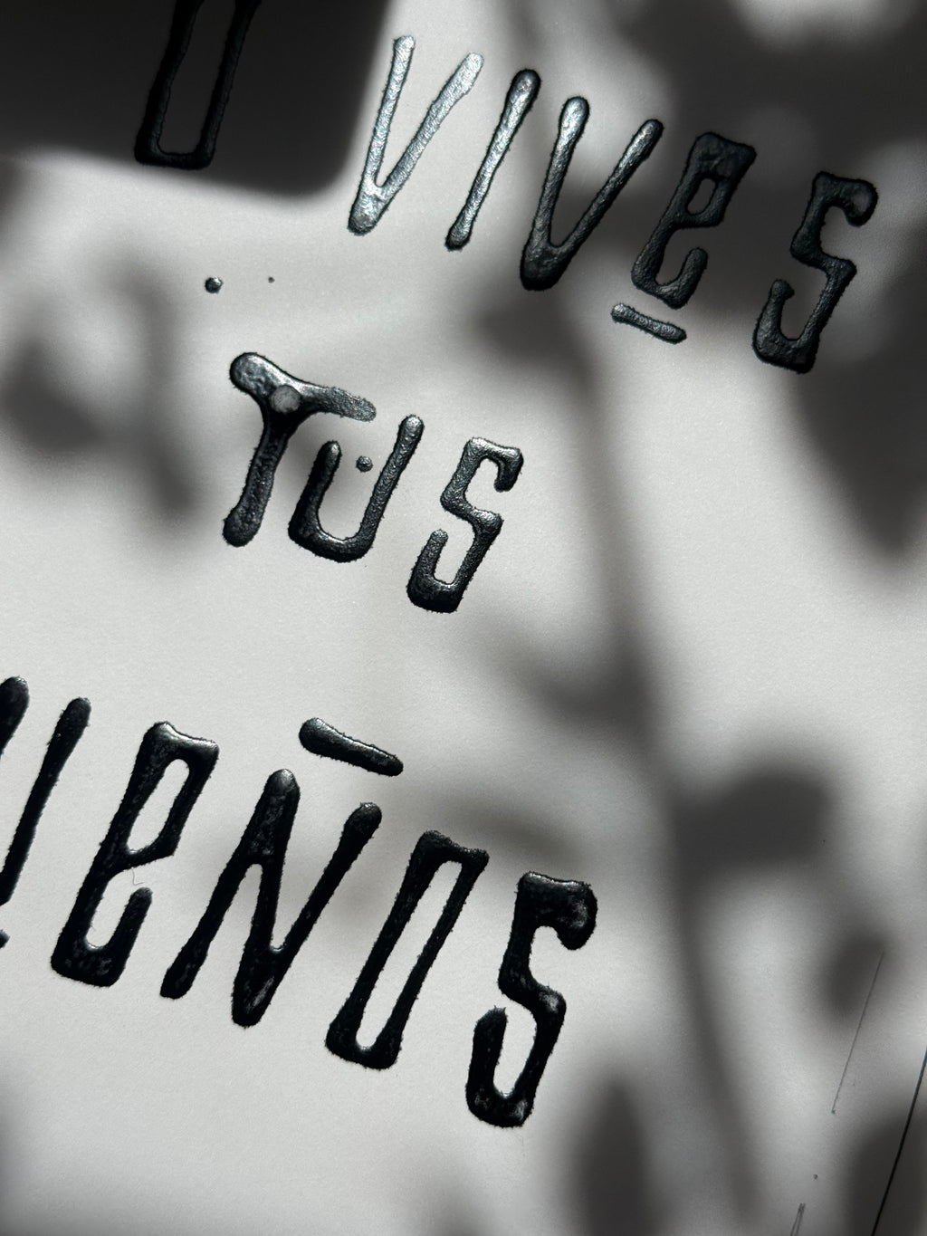 o vives tus miedos o vives tus sueños