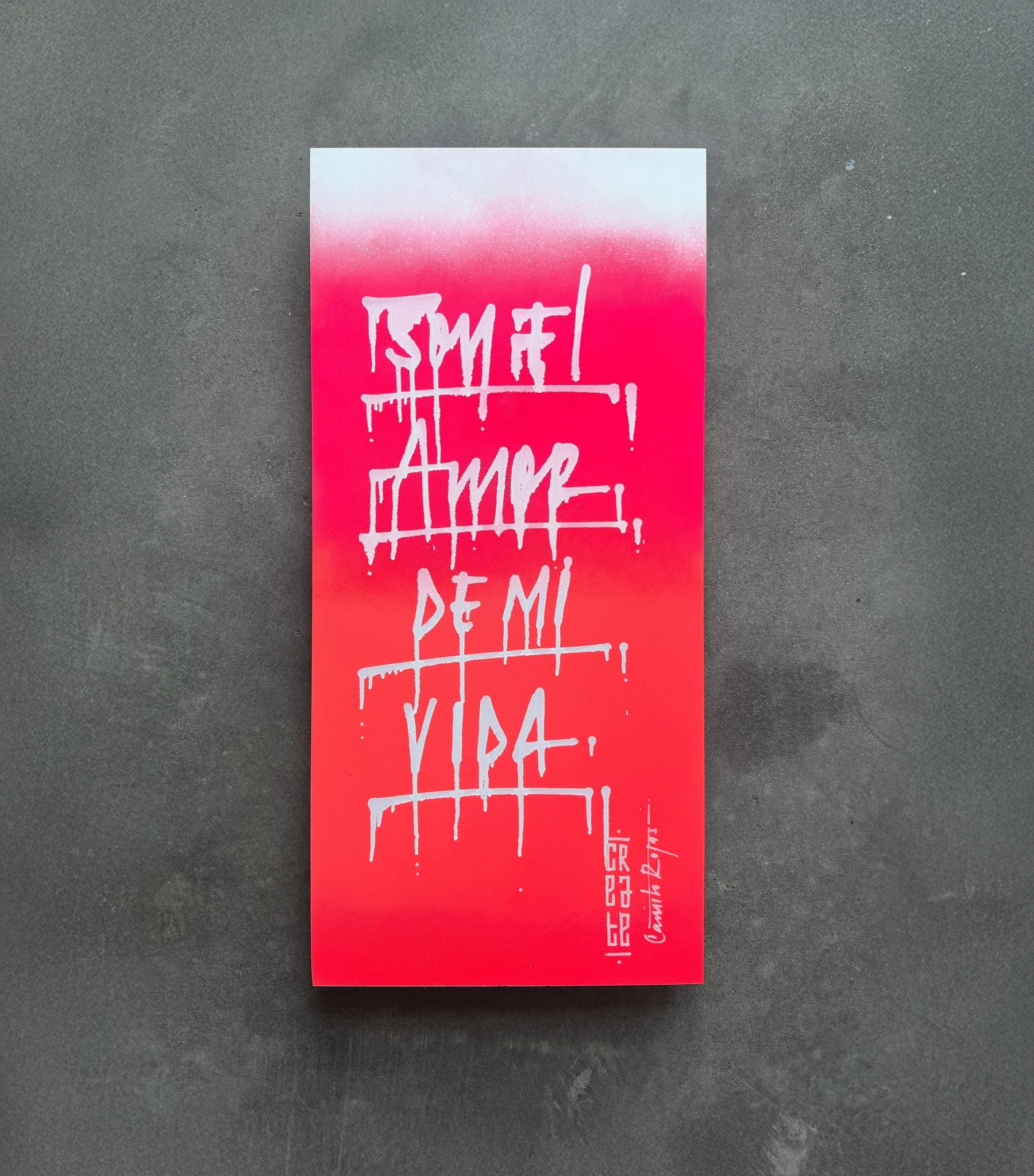 Soy el amor de mi vida - Camilo Rojas Shop