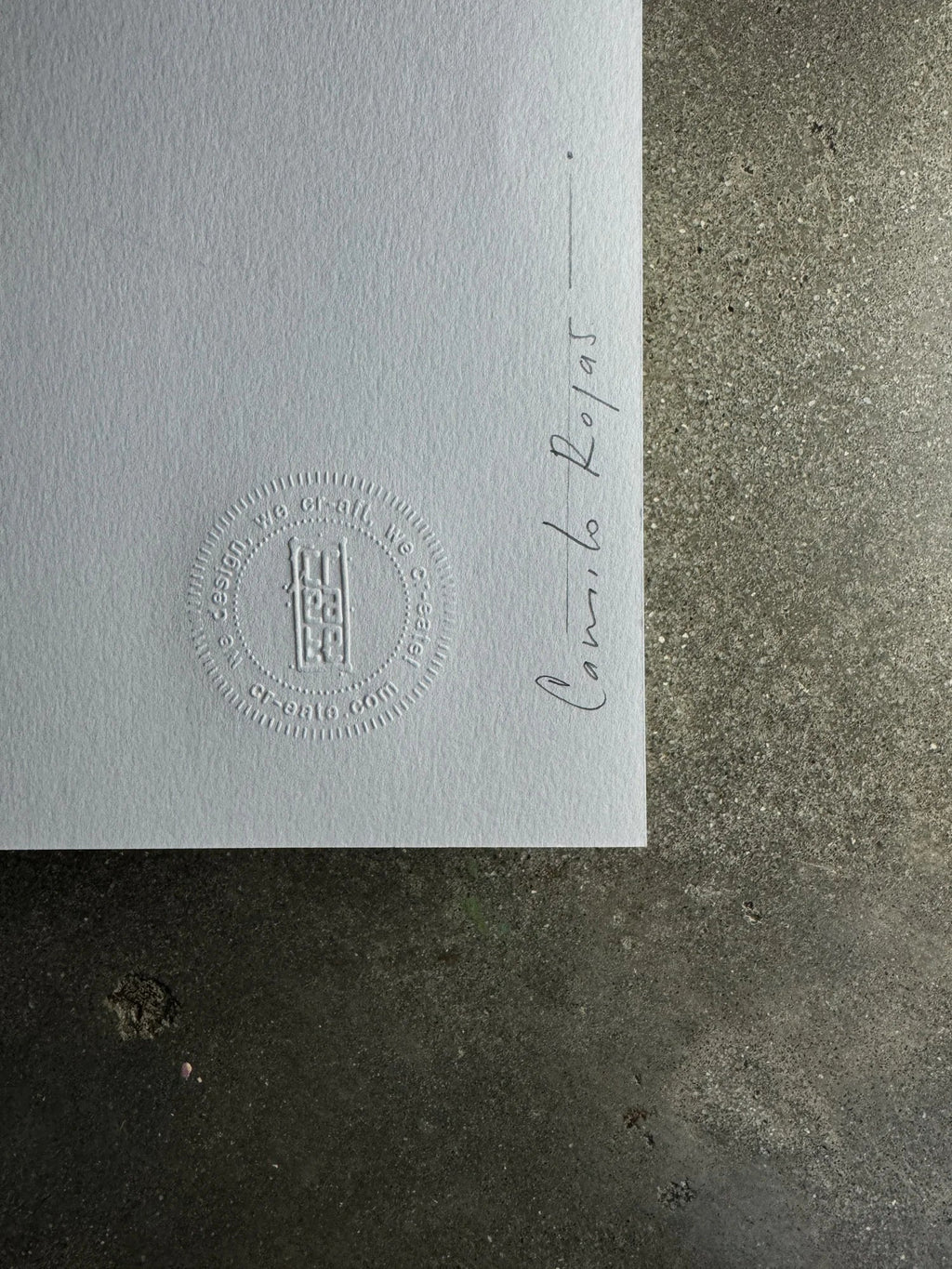 Todo Pasa Japanese Ink - Camilo Rojas Shop