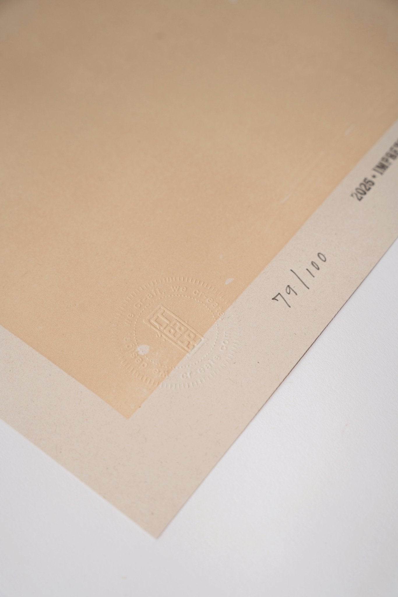 Todo Pasa Poster - Camilo Rojas Shop