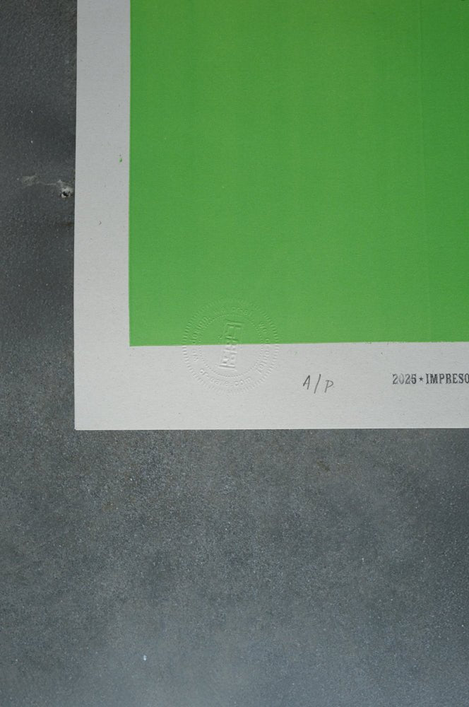 Todo Pasa - Sunset - Camilo Rojas Shop